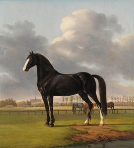 Adriaan van der Hoop