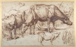 Cattle in Pasture, c.1618-20 (pen & ink with wash on paper) بواسطة أنتوني فان ديك