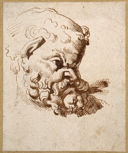 Study of an antique head of Silenus (pen & ink on paper) بواسطة أنتوني فان ديك