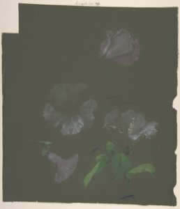 Floral Design بواسطة أنطوان برجون
