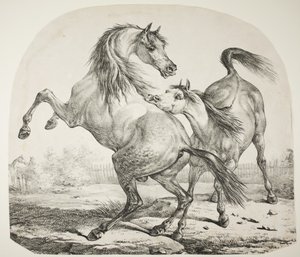 قتال الخيول البرية ، c.1820 بواسطة أنطوان تشارلز هوراس فيرنيه
