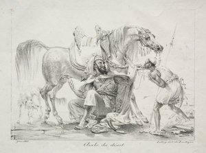 عرب الصحراء 1817. بواسطة أنطوان جان جروس