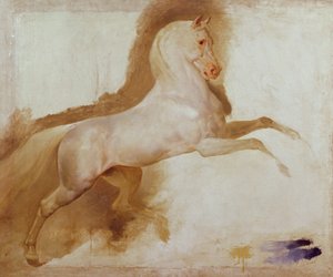حصان يواكيم مورات ، ج .1832