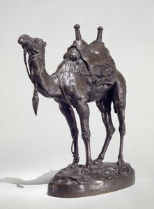 الجمل المصري مع تسخير (برونزي)