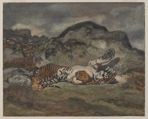 رولينج تايجر ، c.1840 (مرحاض على ورق) بواسطة أنطوان لويس باري