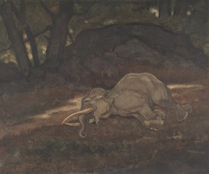 فيل نائم ، 1810-1875. بواسطة أنطوان لويس باري