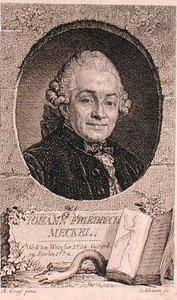 صورة يوهان فريدريش ميكل (1724-1776) نقشها جون شليون (1740-1774) (نقش) بواسطة انطون (بعد) غراف