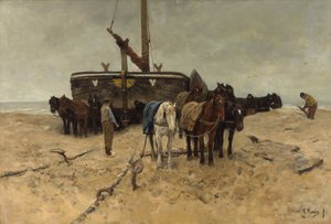  بواسطة انطون موف