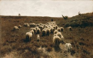  بواسطة انطون موف