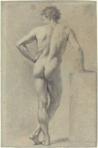 دراسة عارية الذكور