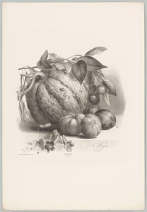 القرع والطماطم والكرز دراسات الزهور والفاكهة (...) الحلقة العاشرة (عنوان المسلسل) بواسطة انطون فايس
