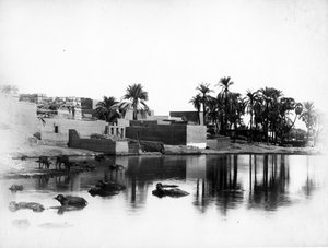 الأقصر من قارب النيل ، 1860-80 بواسطة أنطونيو بيتو