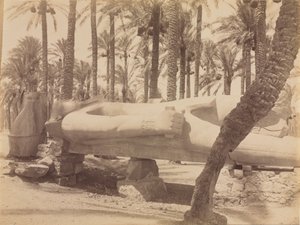 تمثال رمسيس بسقارة بواسطة أنطونيو بيتو