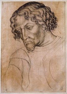 Bust of bearded man, three-quarters head leaning to the left. Drawing of the workshop Antonio di Puccio Pisano dit Pisanello (1395-1455). Feather (drawing), blood. Dim: 28x20cm. Louvre, drawing firm بواسطة أنطونيو بيسانيلو