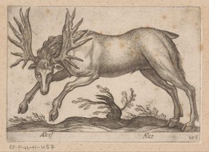 إيلاند موس / موس (العنوان على الكائن) Dieren en fablewezens (عنوان المسلسل) مجموعة جديدة من أكثر الحيوانات فضولاً في العالم (عنوان المسلسل) بواسطة انطونيو تمبيستا