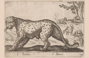 النمر L Panthera / I Panthera (العنوان على الكائن) Dieren en fablewezens (عنوان المسلسل) مجموعة جديدة من أكثر الحيوانات فضولاً في العالم (عنوان المسلسل) بواسطة انطونيو تمبيستا