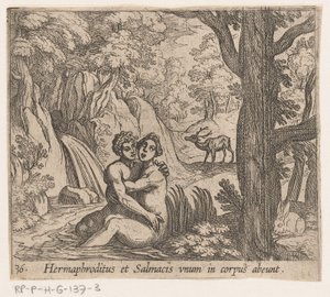 Salmacis و Hermaphroditus يترك Hermaphroditus و Salmacius جسدًا واحدًا (العنوان على الكائن) Metamorphoseon أو التحويلات (عنوان السلسلة) ميتامورفوسين فان أوفيديوس (عنوان المسلسل) بواسطة انطونيو تمبيستا