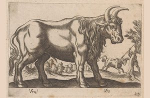 ثور Vrus / Vro (العنوان على الكائن) Dieren en fablewezens (عنوان المسلسل) مجموعة جديدة من أكثر الحيوانات فضولاً في العالم (عنوان المسلسل) بواسطة انطونيو تمبيستا