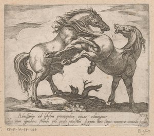 Twee parende باردين Paarden uit verschiedelden Landen (عنوان المسلسل) مع هؤلاء القادة سوف يتم الاحتفال بك كقائد ذو فم فيرو.