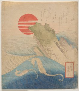 فرس البحر قبل العام الجديد الصاعد بواسطة Aoigaoka Keisei