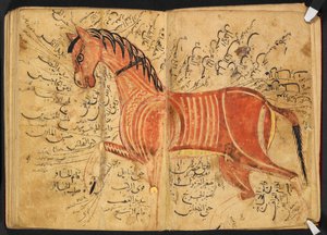 فرس من كتاب البيضاء لأزدي أحمد بن عتيق. بواسطة المدرسة العربية