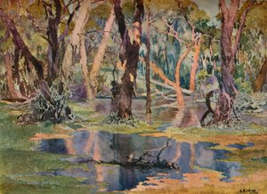 "Quindanning Pool" ، c1927