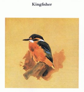 الرفراف ، حانة. بواسطة Book Club Associates ، 1972 بواسطة أرشيبالد ثوربورن
