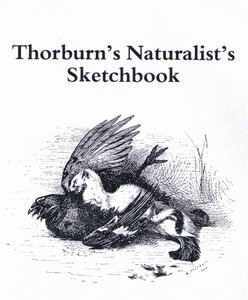Title Page (Stoat and Gamebird), pub. by Book Club Associates بواسطة أرشيبالد ثوربورن