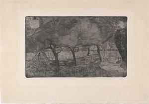 Les Pommiers (أشجار التفاح) 1893 (حفر ونقش مائي ونقطة جافة) بواسطة أرماند سيجين