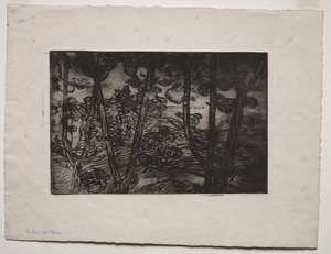 الأشجار في الليل ، ج. 1894. بواسطة أرماند سيجين