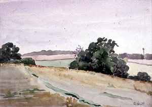 المناظر الطبيعيه