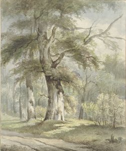 عرض الغابات بواسطة Arnoldus Johannes Eymer