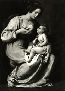 مادونا الكرز (زيت على قماش) (صورة ب / ث) بواسطة الأرطماسيا Gentileschi