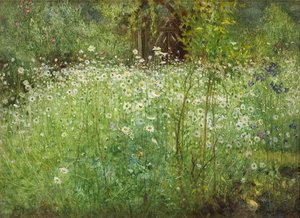 Oxeye Daisies and Irises ، 1920 بواسطة آرثر هاكر