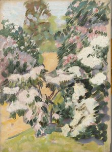 زهرة ، ج .1900