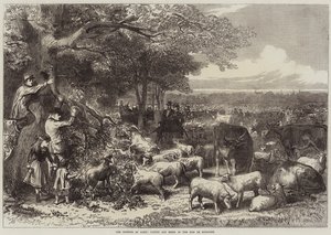 الدفاع عن باريس ، الماشية والأغنام في Bois de Boulogne