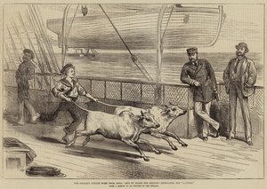 The Prince&39;s Voyage Home from India، Life on Board of Serapis، ممارسة الجاينز