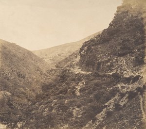 على الطريق إلى Watersmeet ، بالقرب من لينتون ، شمال ديفون ، 1856. بواسطة آرثر جوليوس بولوك
