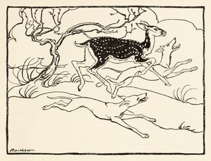 Becfola في مركبتها من The Wooing of Becfola in Irish Fairy TalesSee desc بواسطة آرثر راكهام