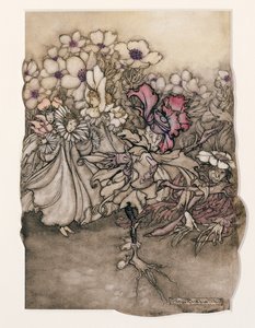 رسم توضيحي من بيتر بان في حدائق كينسينغتون بواسطة JM Barrie (1860-1937) 1906 (قلم وحبر مع مرحاض على ورق) بواسطة آرثر راكهام