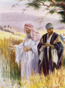 السيد المسيح وتلاميذه في حقل الذرة (لون ليثو)