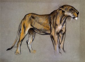 لبؤة ، حوالي 1900 (باستيل على ورق رمادي) بواسطة آرثر واردل