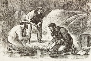 أستراليا (1880). حياة المنقبين عن الذهب في خليج بوتاني (تأسس عام 1788). نقش. مجموعة خاصة بواسطة فنان غير معروف