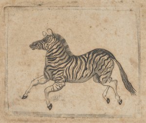 نقش الأوراق النقدية يظهر حمار وحشي ، كاليفورنيا. 1824-37.