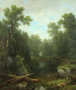 Chapel Pond Brook ، Keene Flats ، جبال آديرونداك ، نيويورك ، 1871