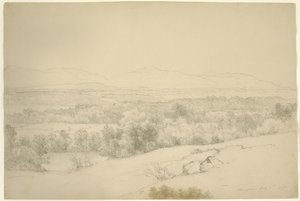 مناظر طبيعية ، Barrytown ، نيويورك ، 1865 (الجرافيت مع حشو على ورق بني)