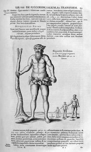 عمالقة ما قبل التاريخ ، 1678.