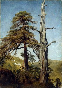 "" دراسة الأشجار ، النرويج "" لوحة رسمها August Cappelen (1827-1852) 1850 المتحف الوطني للفنون ، أوسلو ، النرويج
