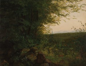 على حافة الغابة ، كاليفورنيا. 1820. بواسطة أغسطس هاينريش