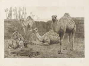 الجمال بواسطة August Le Gras